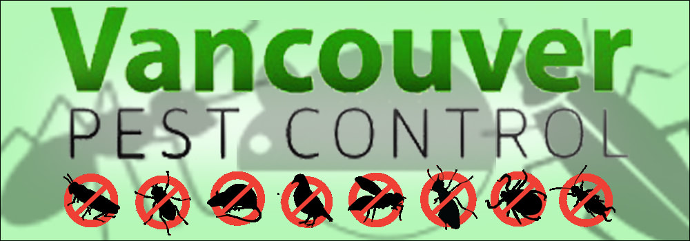 pest control Vancouver